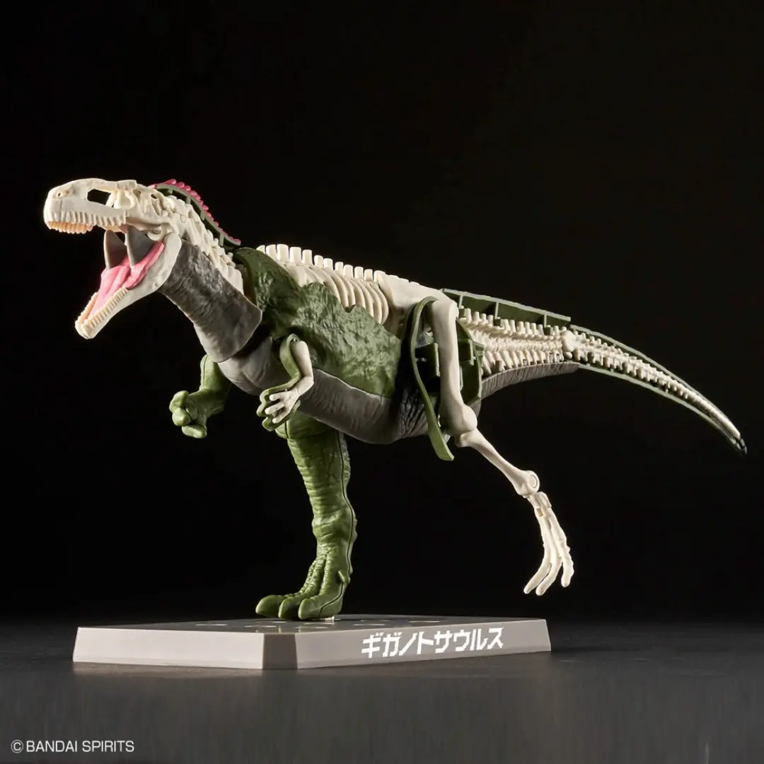 Bandai | Giganotosaurus | Plannosaurus  Model Kit