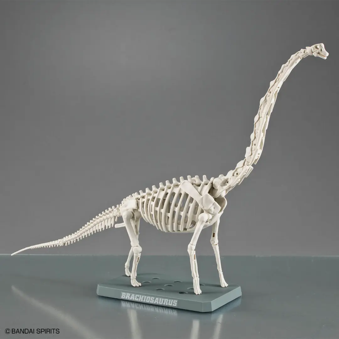 Bandai | Brachiosaurus | Plannosaurus Model Kit