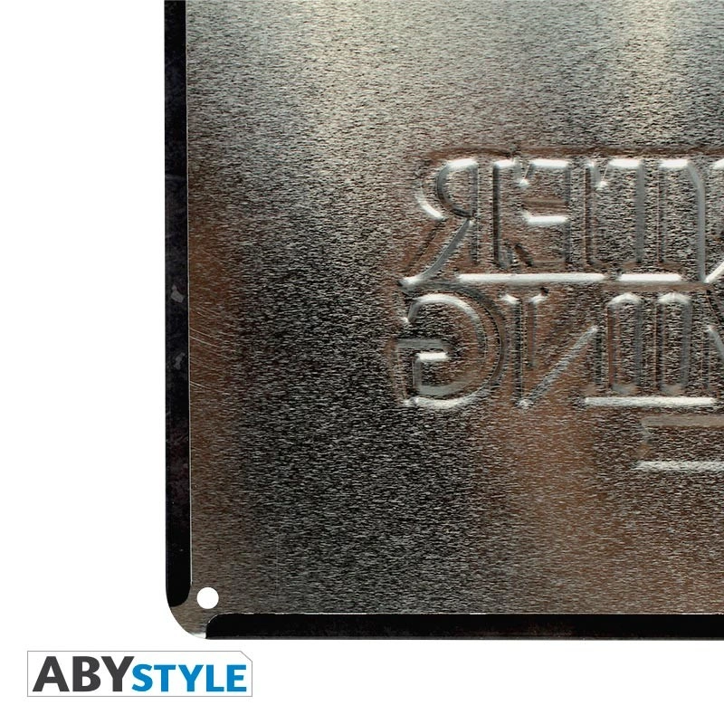 Harry Potter | Platform 9 3/4 | Metal Plate (28 x 38cm)