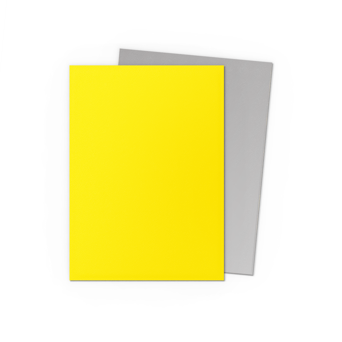 Dragon Shield | Yellow & Silver | Matte Dual Sleeves Standard Size
