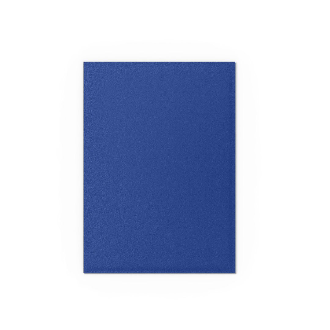 Dragon Shield: Blue - Non-Glare - Matte Sleeves - Standard Size