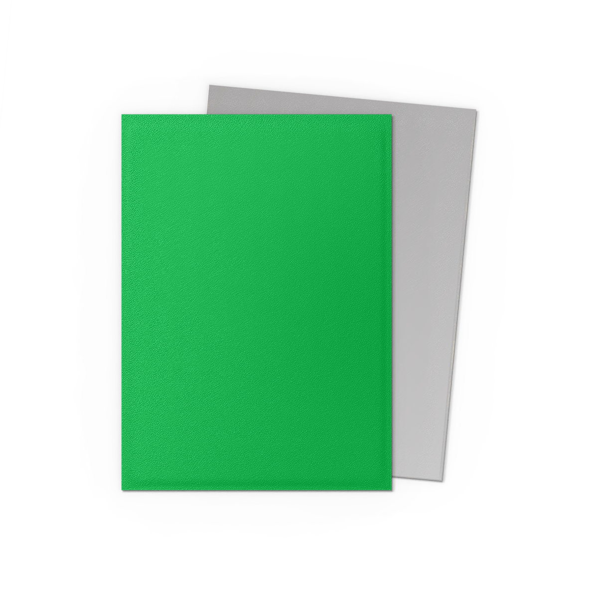 Dragon Shield | Applegreen & Silver | Matte Dual Sleeves Standard Size