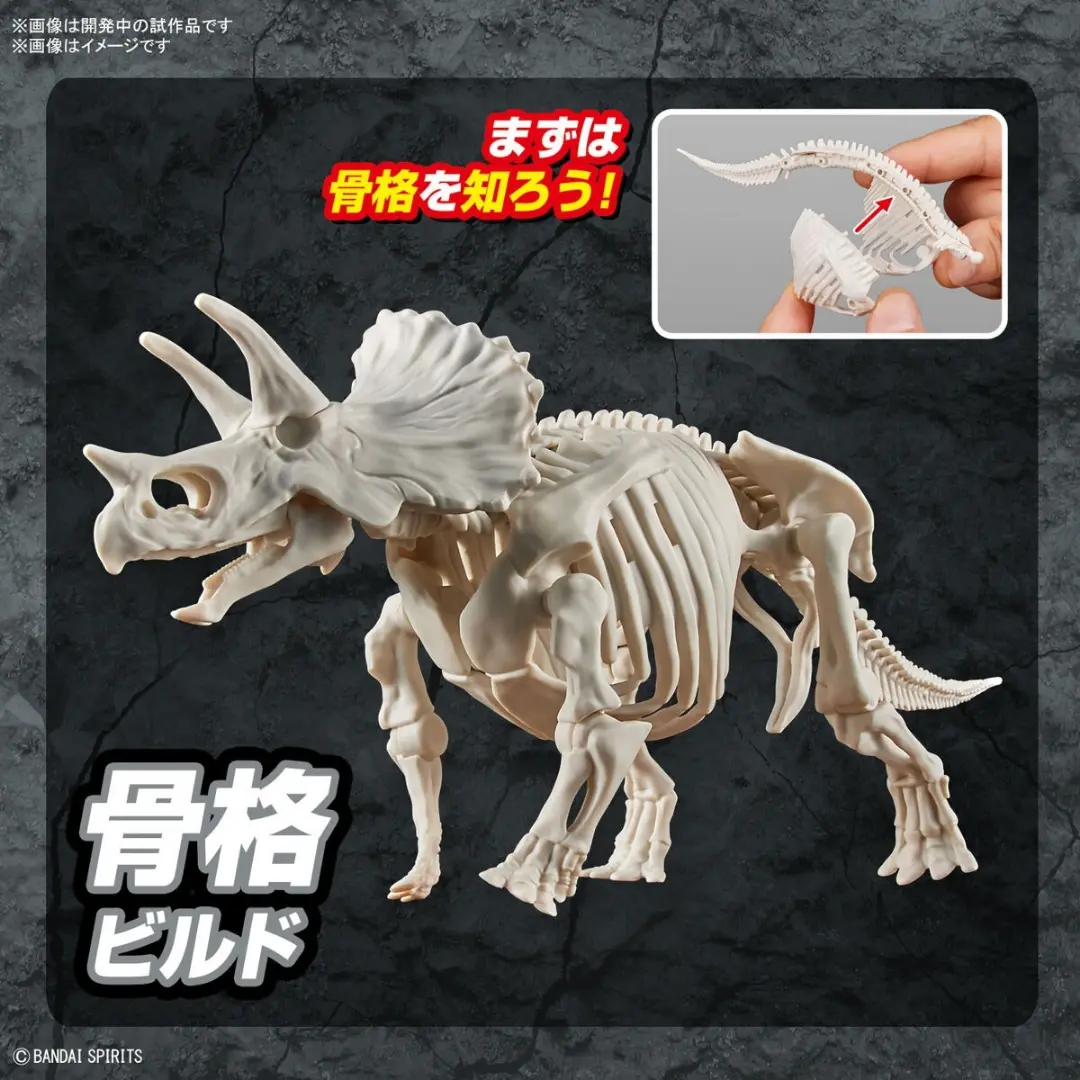 Bandai | Triceratops | Plannosaurus  Model Kit