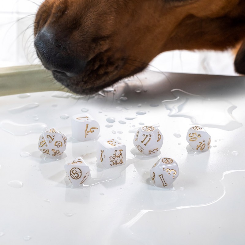 Q Workshop | Charlie | Dogs Dice Set