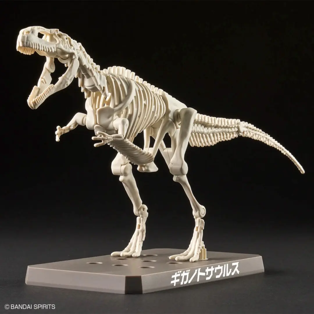 Bandai | Giganotosaurus | Plannosaurus  Model Kit