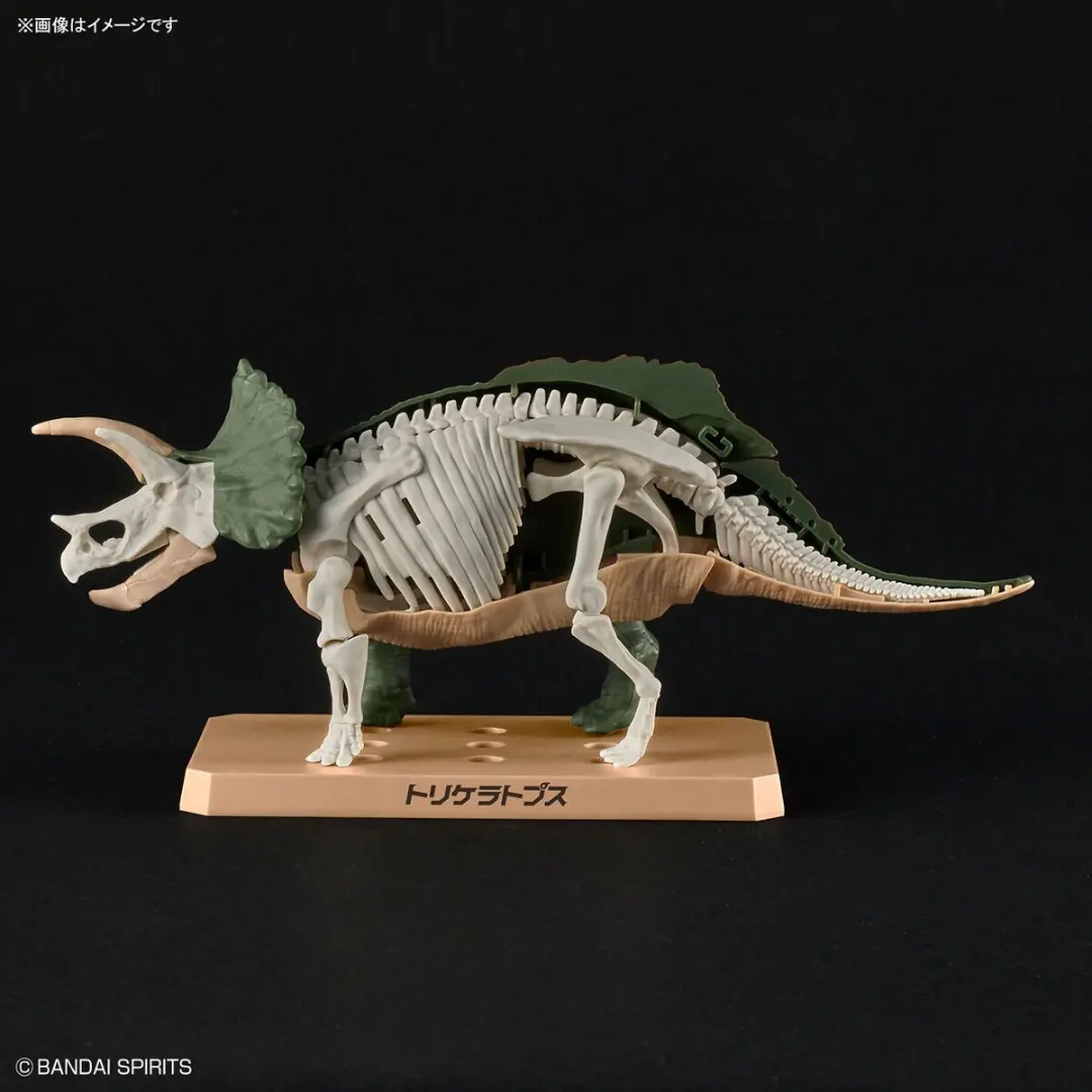 Bandai | Triceratops | Plannosaurus  Model Kit