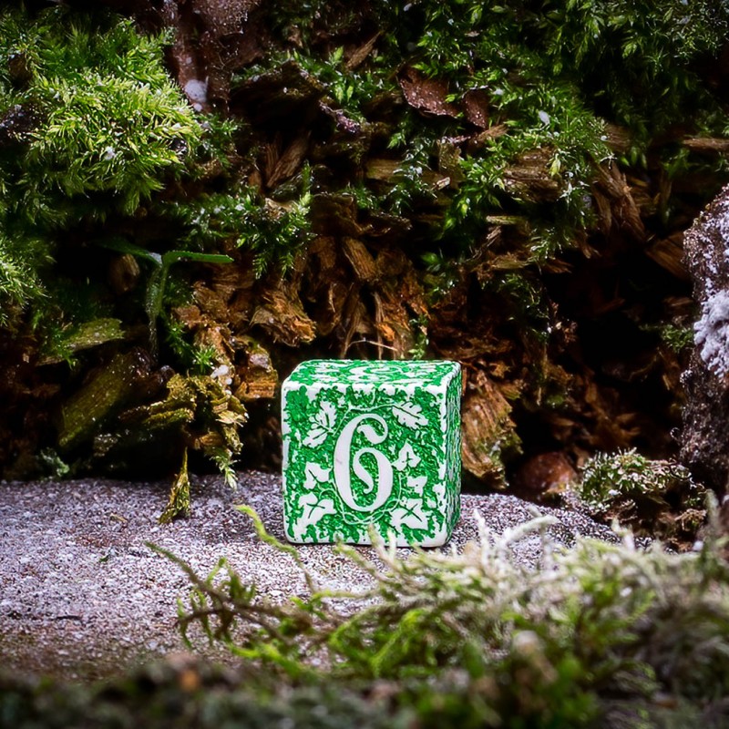 Q Workshop | Tundra | Forest Dice Set