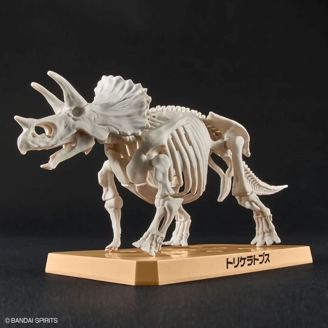 Bandai | Triceratops | Plannosaurus  Model Kit