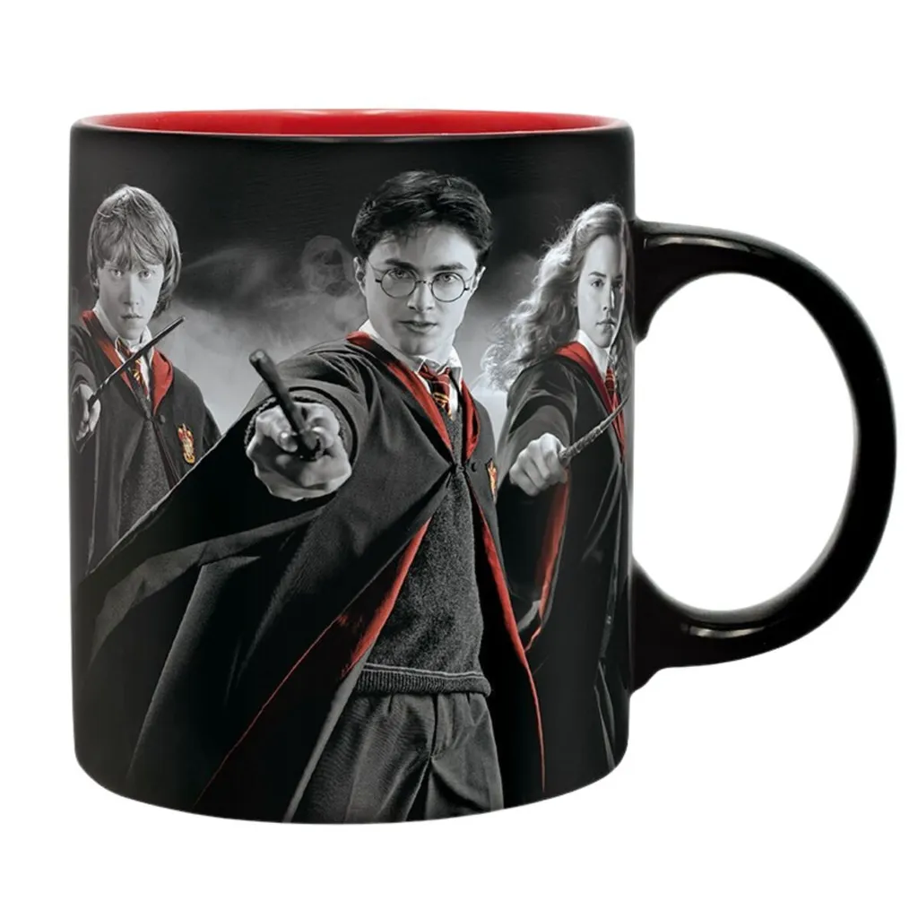 Harry Potter | Harry, Ron & Hermine | Gift Set (Mug (320ml), Keychain & A6 Notebook)