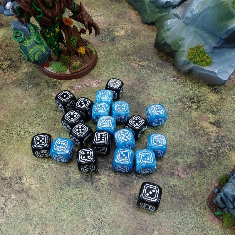 Q Workshop | Black & Blue | Fortress Compact D6