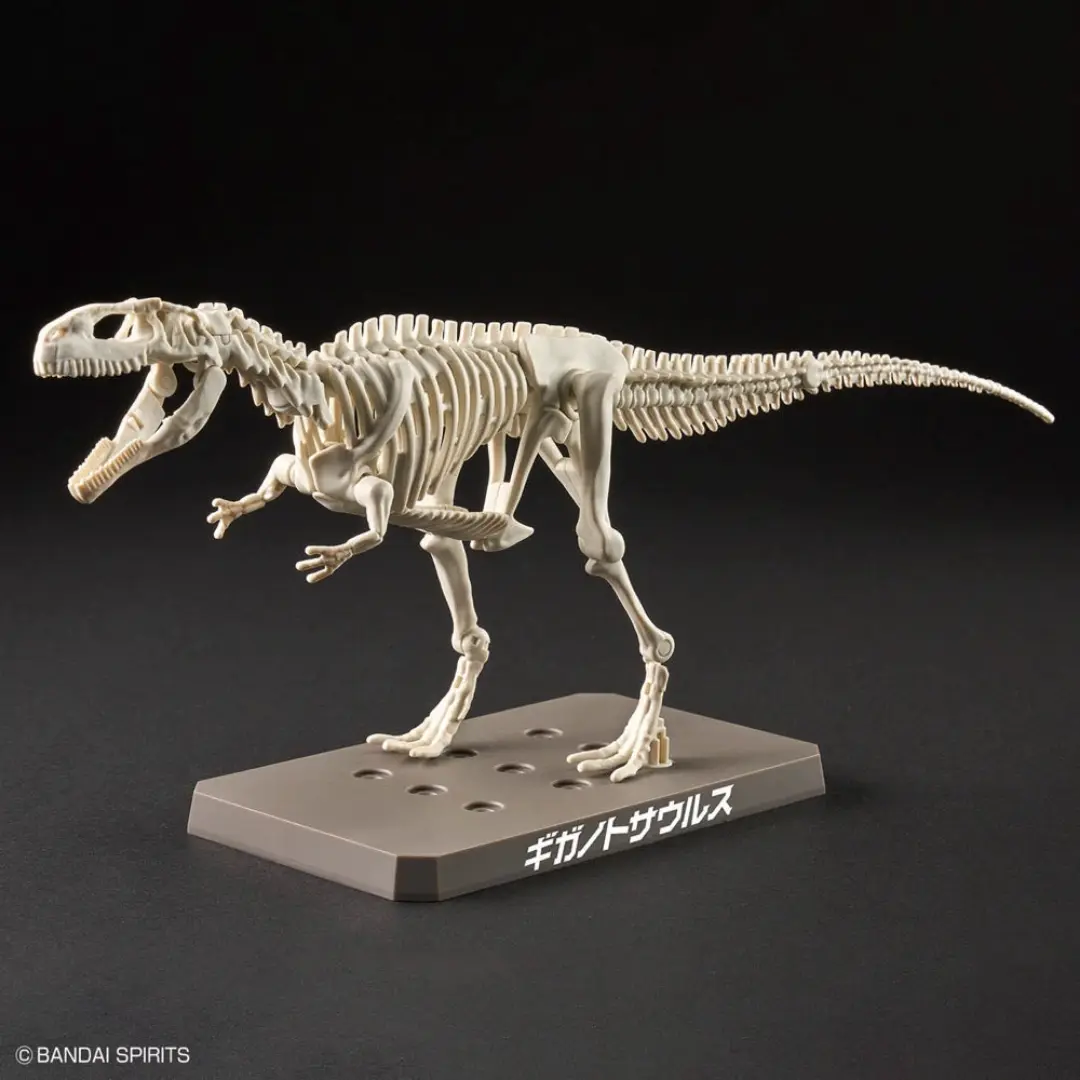 Bandai | Giganotosaurus | Plannosaurus  Model Kit