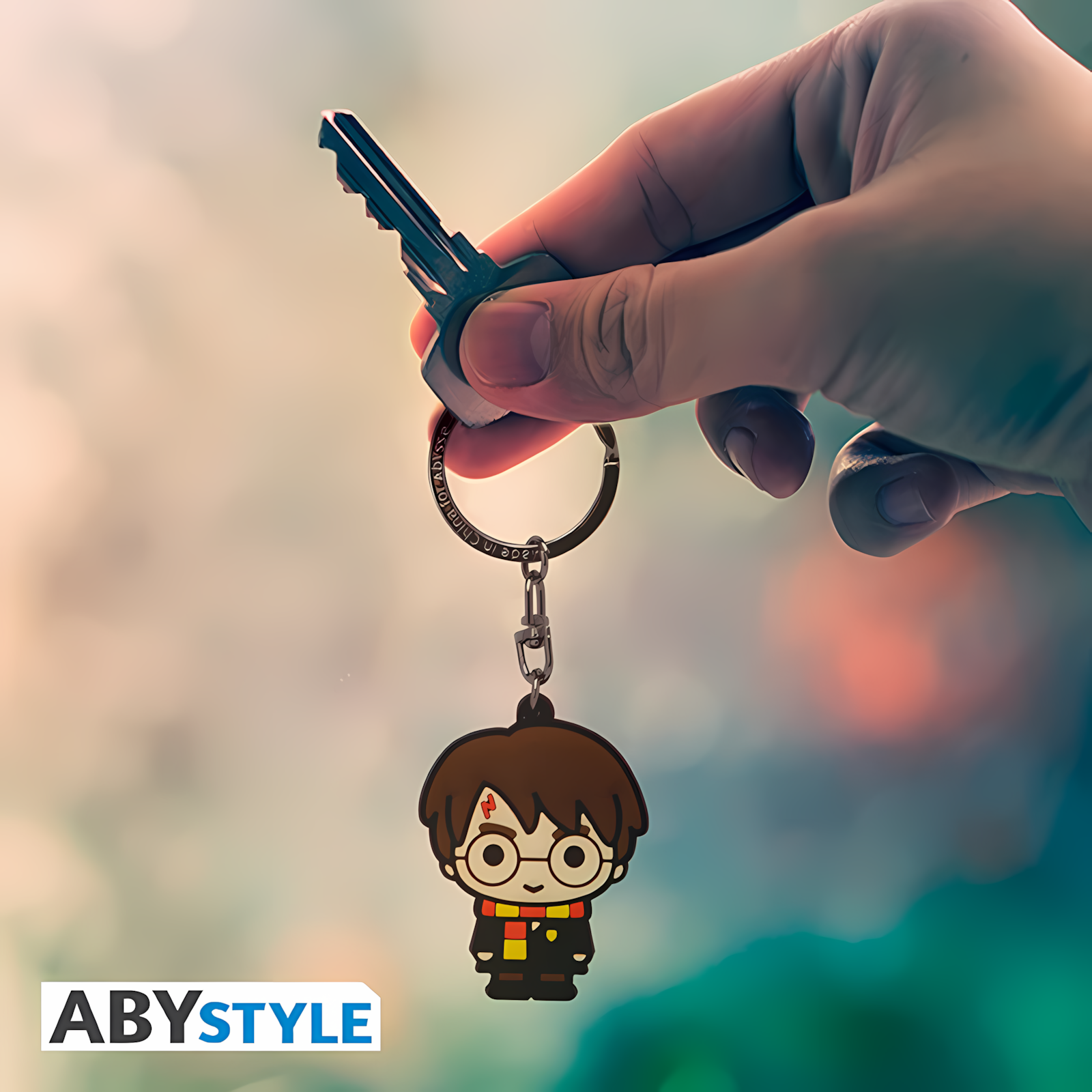 Abysse | PVC Keychain Harry | Harry Potter