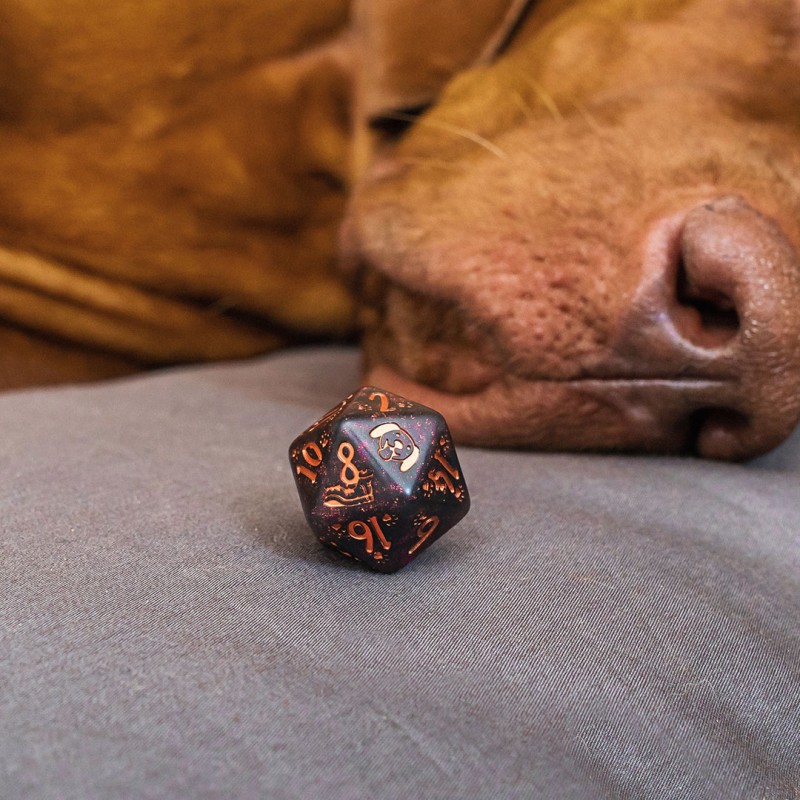 Q Workshop | Luna | DOGS Dice Set
