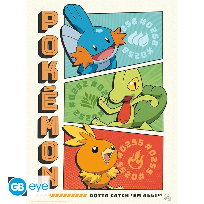 Abysse | Pokémon - 9 Posters (21 x 29,7cm) - Portfolio Starters
