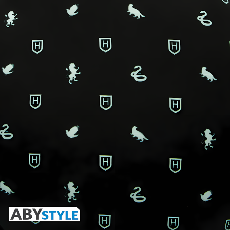 Harry Potter | Hogwarts | Cushion
