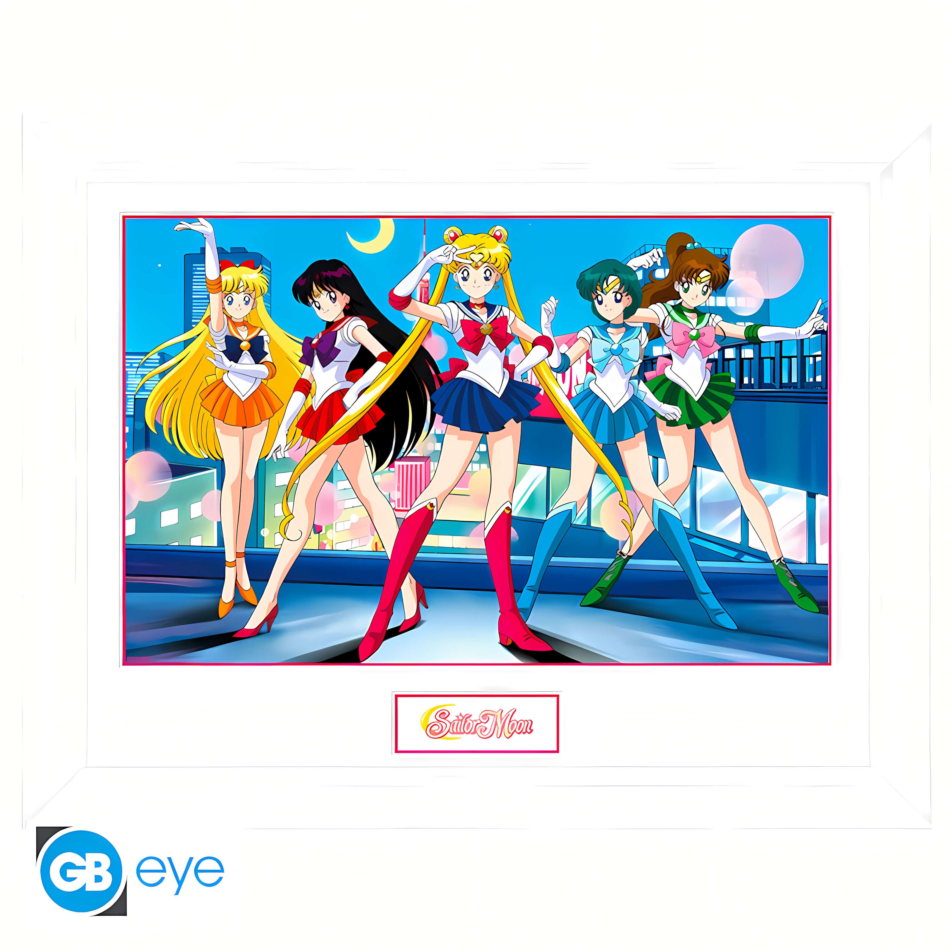 Abysse: Sailor Moon - Framed Print White Frame (30 x 40cm) - Group