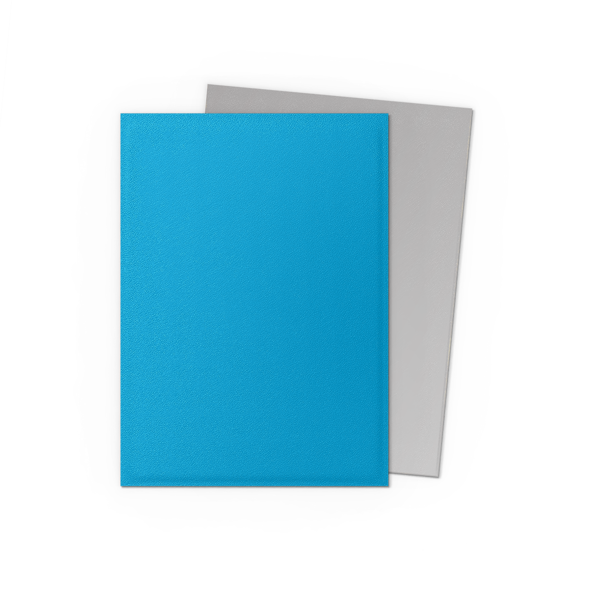 Dragon Shield | Sky Blue & Silver | Matte Dual Sleeves Standard Size