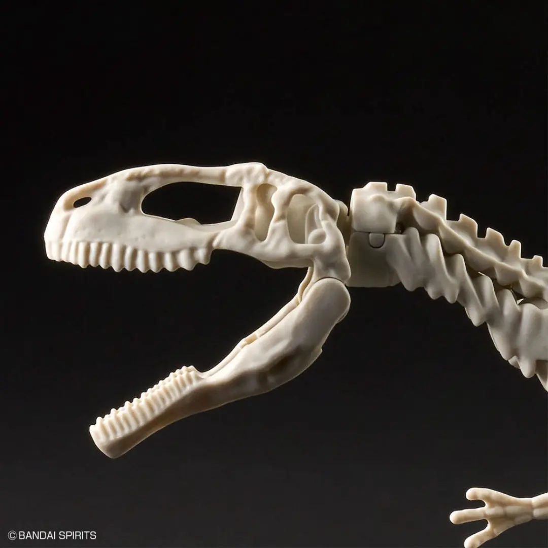 Bandai | Giganotosaurus | Plannosaurus  Model Kit