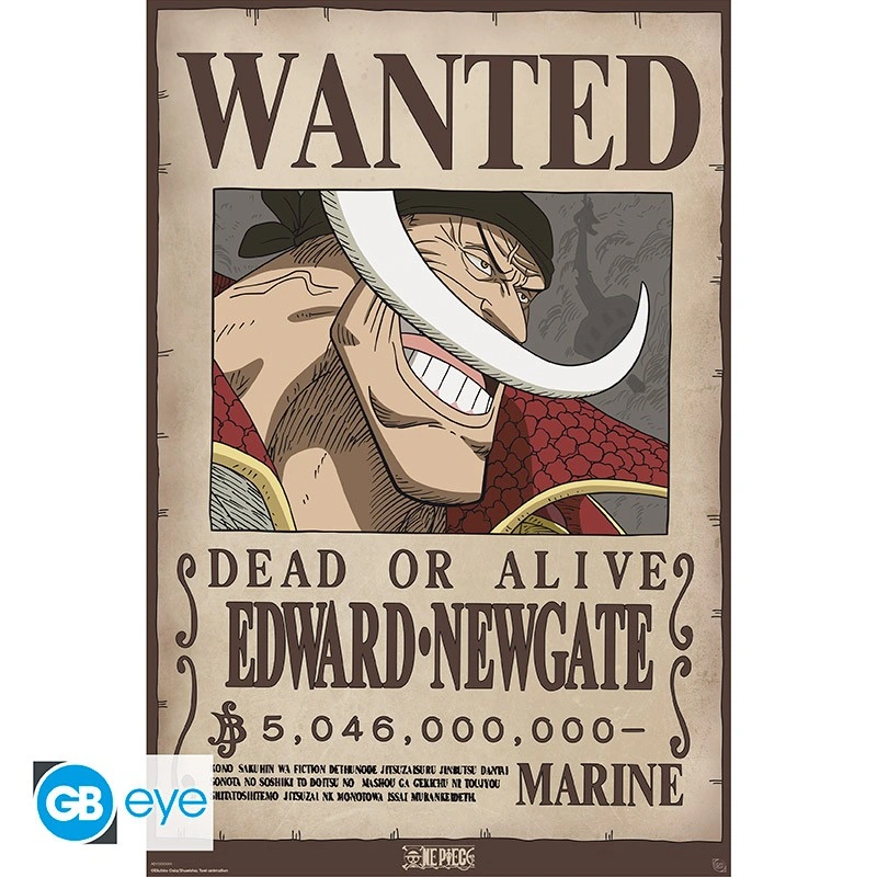 One Piece | Maxi Poster (91,5 x 61cm) Wanted Whitebeard | Poster