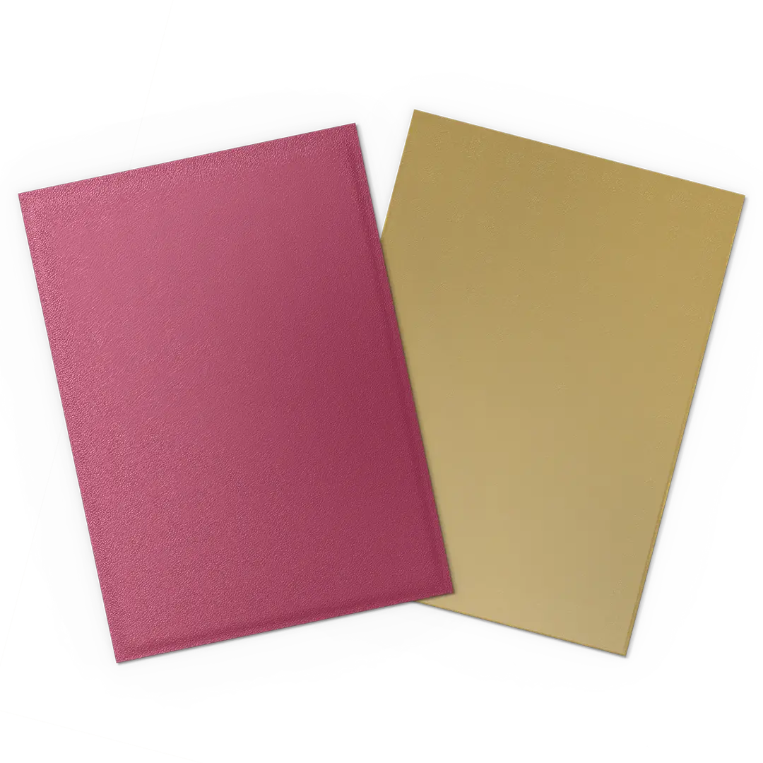 Dragon Shield: Pomegranate & Gold - Matte Dual Sleeves