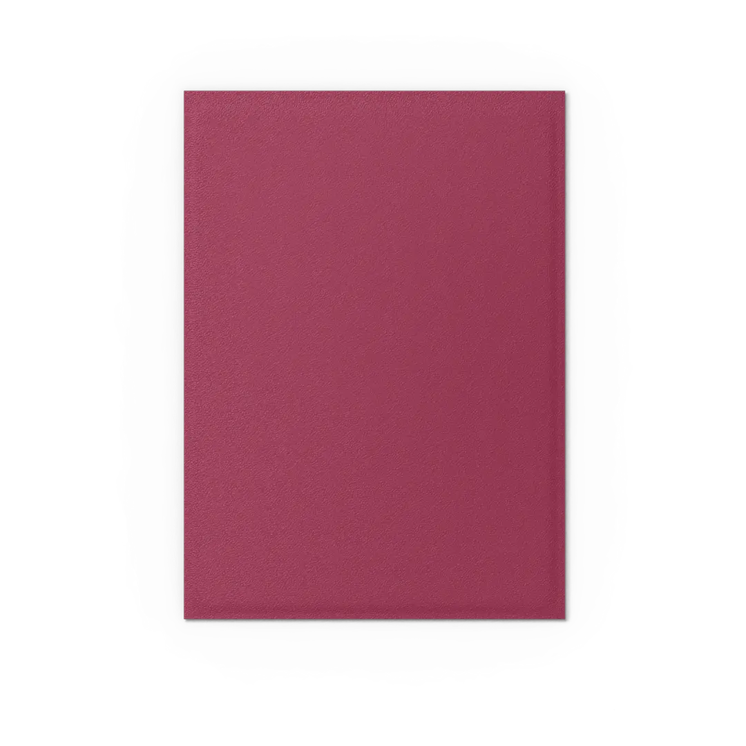 Dragon Shield: Pomegranate & Gold - Matte Dual Sleeves