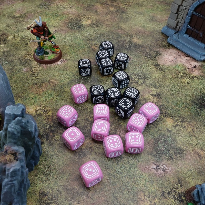 Q Workshop | Black & Pink | Fortress Compact D6