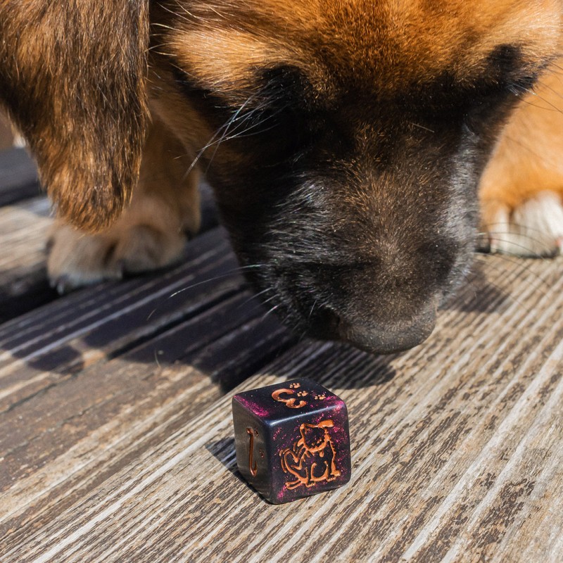 Q Workshop | Luna | DOGS Dice Set