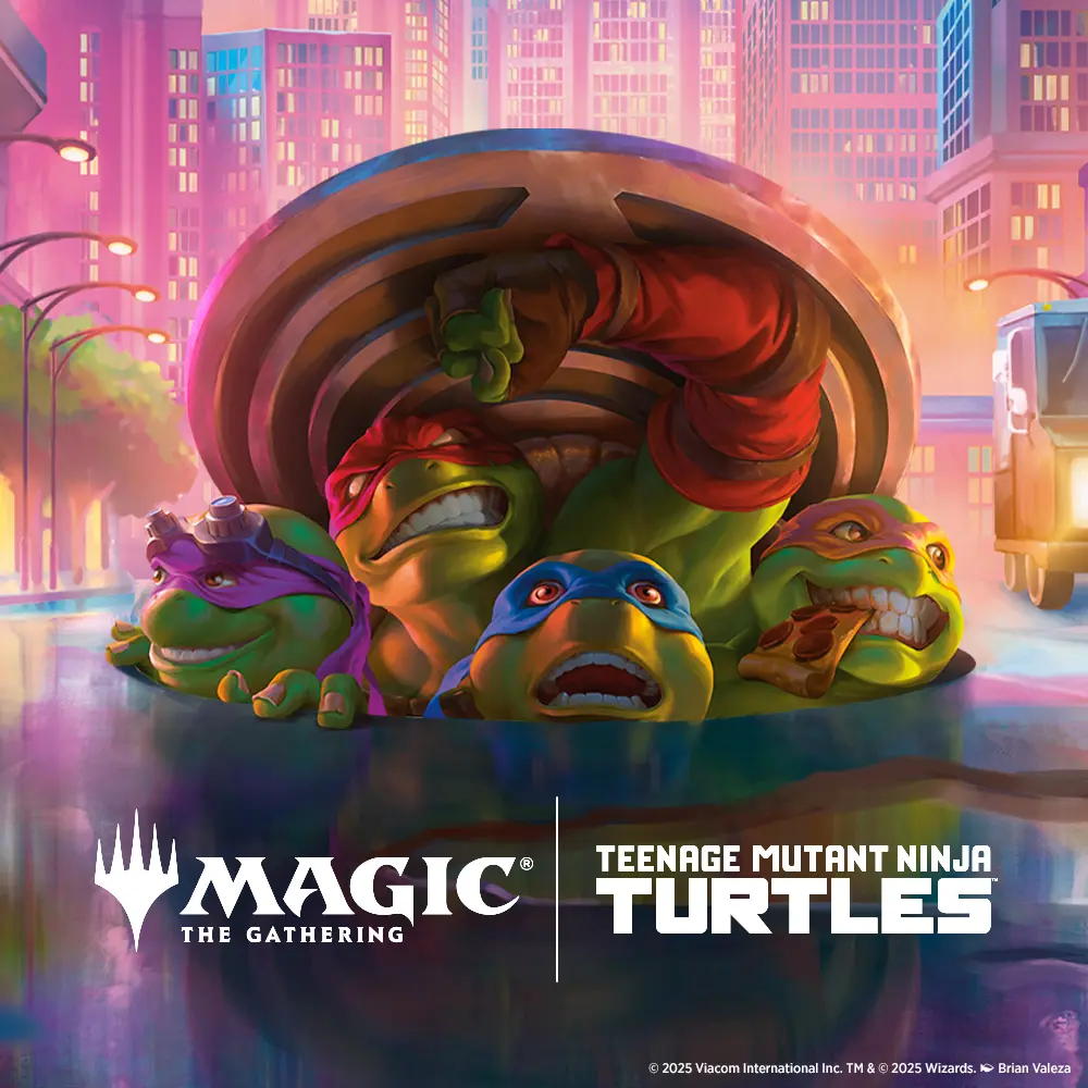 TMNT Story