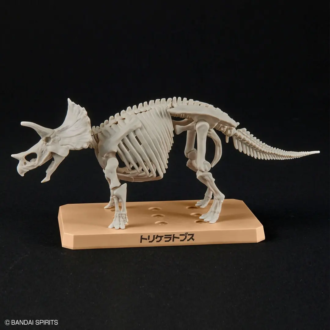 Bandai | Triceratops | Plannosaurus  Model Kit