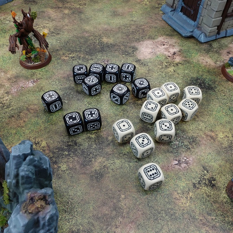 Q Workshop | Black & Beige | Fortress Compact D6