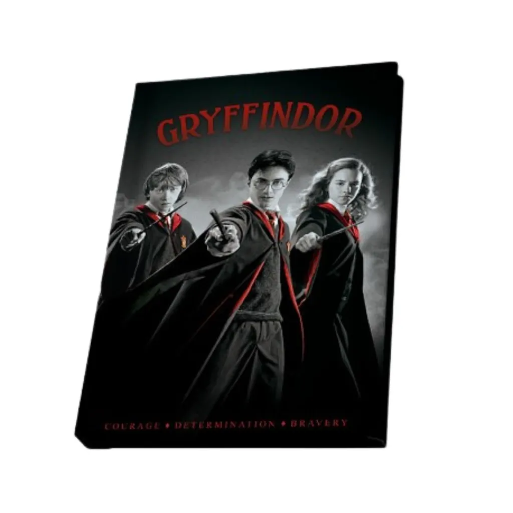 Harry Potter | Harry, Ron & Hermine | Gift Set (Mug (320ml), Keychain & A6 Notebook)