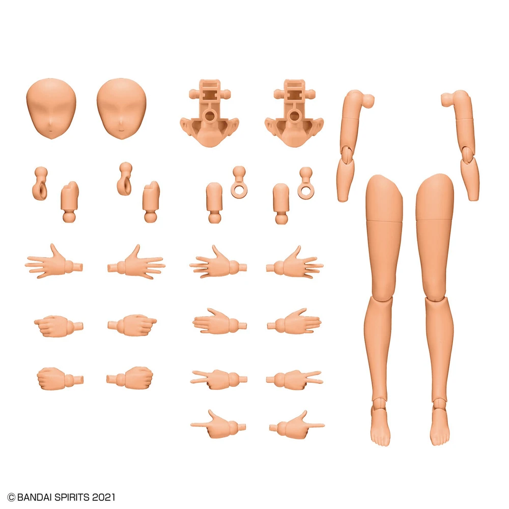 Bandai | 30MS Option Body Parts | Arm Parts & Leg Parts [Color C]
