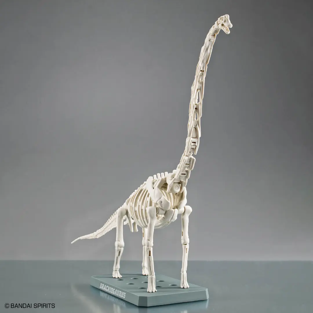 Bandai | Brachiosaurus | Plannosaurus Model Kit