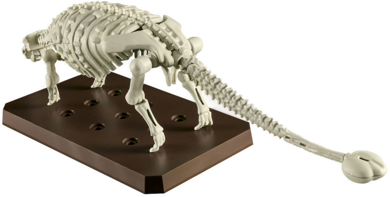 Bandai | Ankylosaurus | Plannosaurus Model Kit