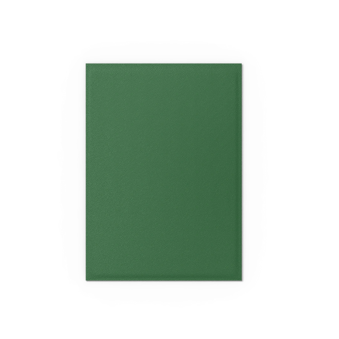 Dragon Shield: Forest Green- Non-Glare - Matte Sleeves - Standard Size