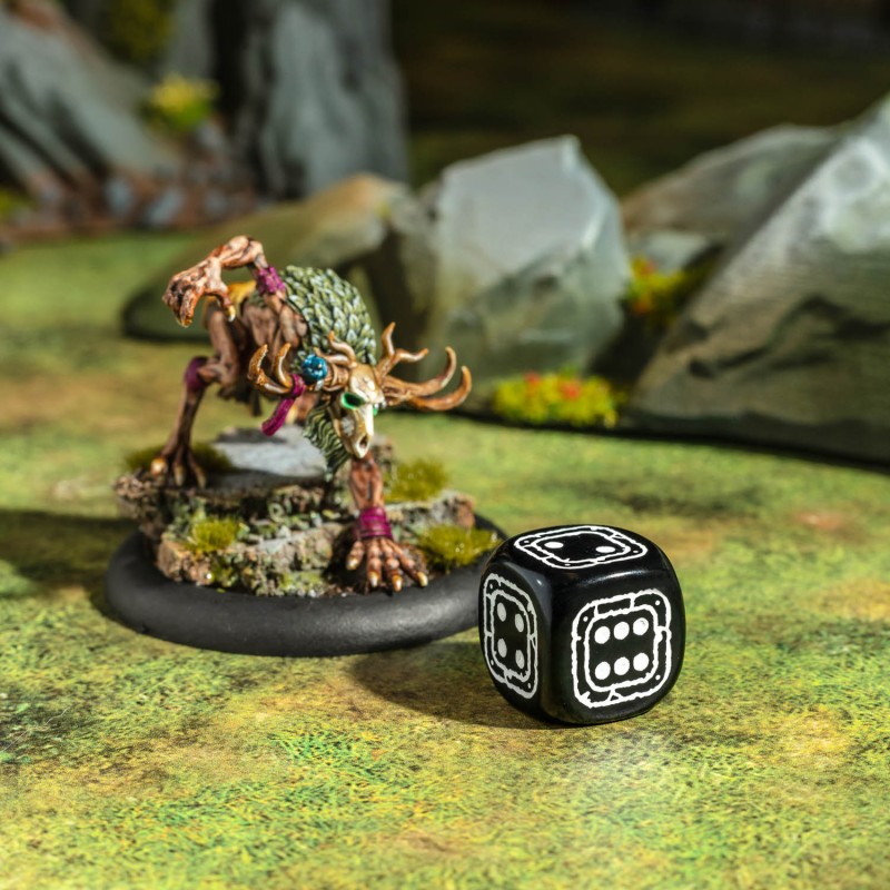 Q Workshop | Black & Pink | Fortress Compact D6