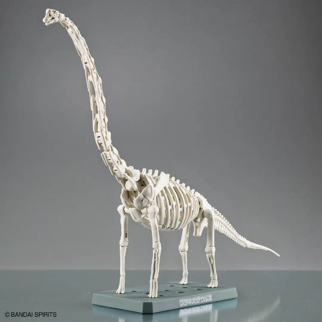 Bandai | Brachiosaurus | Plannosaurus Model Kit